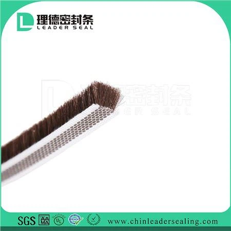 Stripping Aimsir Doras Tosaigh